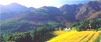 Franschhoek